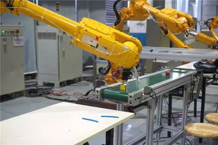 工業(yè)機器人培訓(xùn)與就業(yè)前景 大數(shù)據(jù)揭秘行業(yè)趨勢與智能機器人研發(fā)機遇